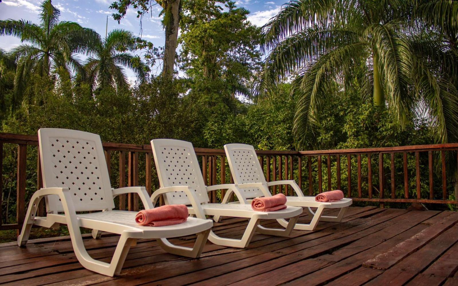 Casa Heliconia - Spacious, Big Garden, Close To The Beach Puerto Viejo de Talamanca Bagian luar foto