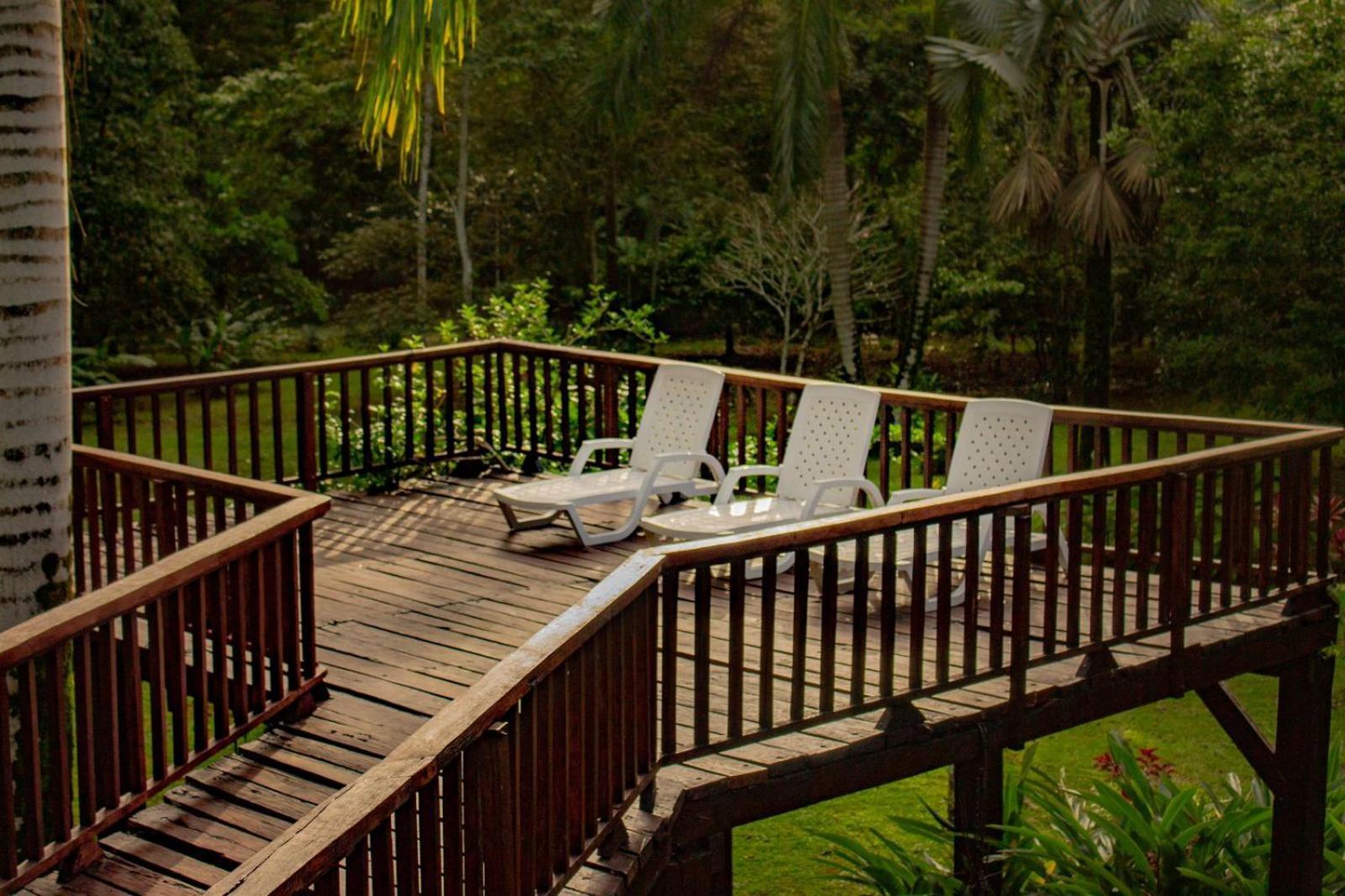 Casa Heliconia - Spacious, Big Garden, Close To The Beach Puerto Viejo de Talamanca Bagian luar foto